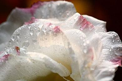 《奥拓星球：强敌》正式发售，快来守卫你的星球吧！